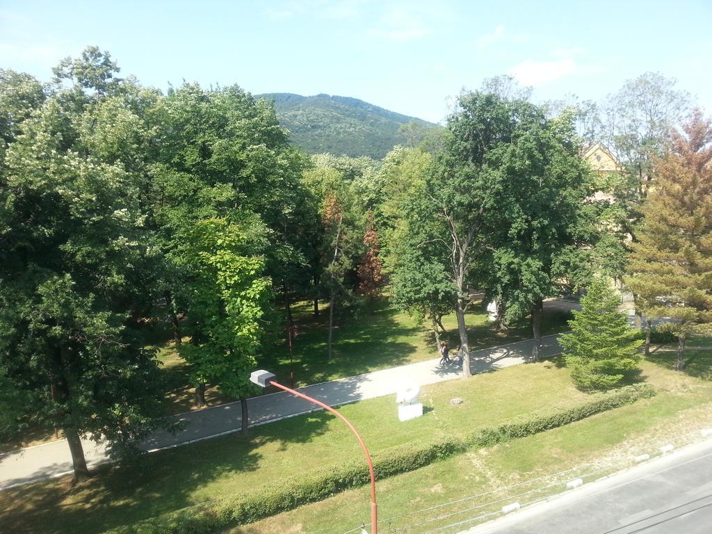 Park Srce Apartments Arandjelovac Rom bilde